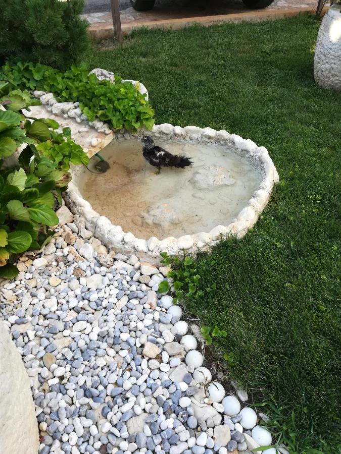 Apartmani Villa Otilija Poreč Kültér fotó